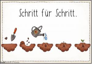 Schritt für Schritt. Erde mit Schippe, dann aufgebuddelte Erde, dann Samen in der Erde wird grade gegossen, dann samen wächst, aus dem Samen ist eine kleine pflanze geworden